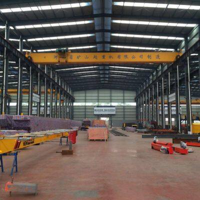 LDP Low Headroom for Offsetting Trolley Single Beam Bridge Crane Workshop photo-4