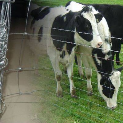 High Tensile Wire Galvanized Farm Fencing Field Fence Made in China photo-2