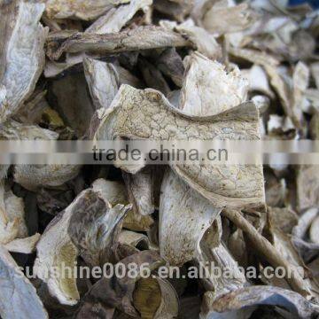 Market Prices for Mushroom photo-5