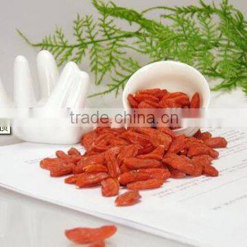 dried goji berries