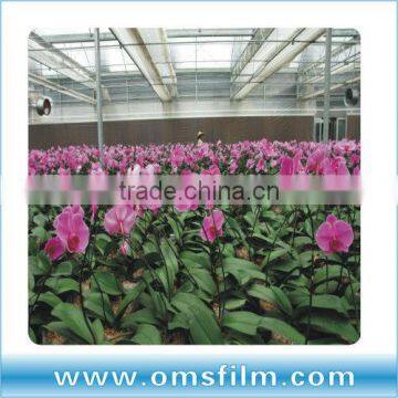 LDPE and HDPE plastic film for greenhouse