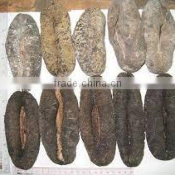 DRIED SEA CUCUMBERS LOWEST PRICE ANF HIGH QUALITY