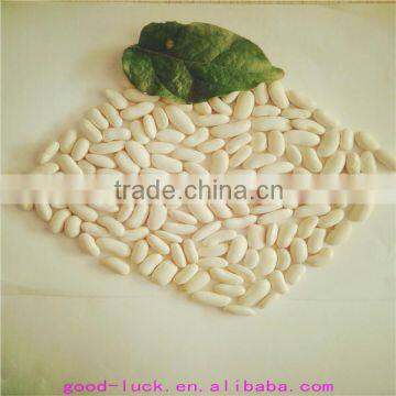 white kidney beans (new crop)