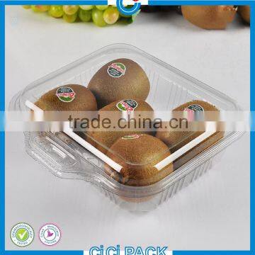 Cheap 5pcs clear plastic kiwi fruit packaging container,fruit boxes for wholesale