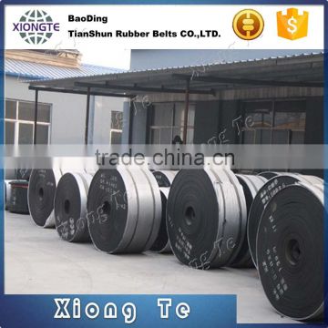 custom nylon belt nylon endless belt belt conveyor system