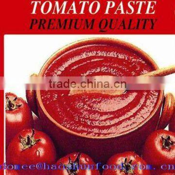 Tomato Paste Canned