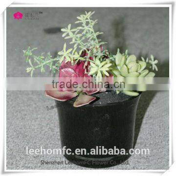 mini Artificial Succulents Wholesale