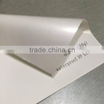 Waterproof PP Paper Matte, Roll Up Use Matt PP Paper photo-2