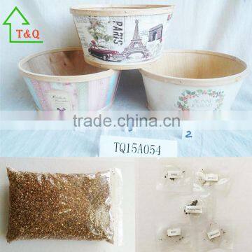 Cheap Wooden Flower Containers Wooden Handwork Flower Pot