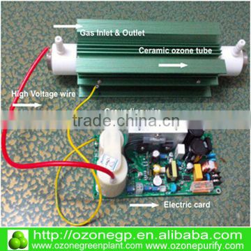 HOT Sale 10g ozone generator for vegetable cleaning kitchen cleaning