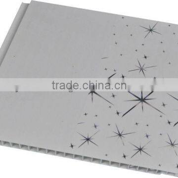 PVC Panel for Indoor Decorative (RP205)