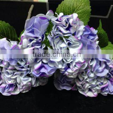 China home wholesale preserved flower natural touch artificial hydrangeas