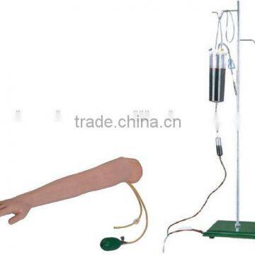 Arm Artery Puncture & Intramuscular Injection Training Model