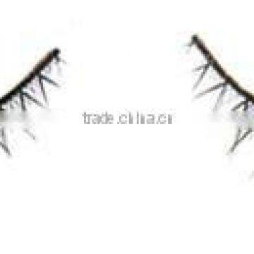 False Eyelash