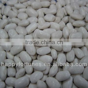 White Kidney Beans square shape