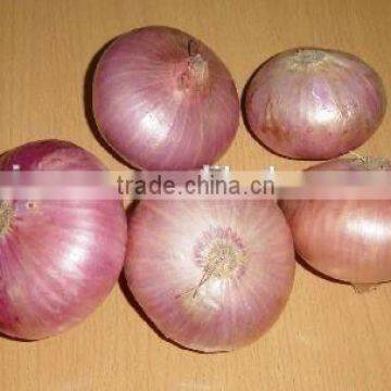 red onion