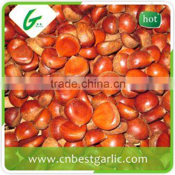 Turkish wholesale frozen chestnuts