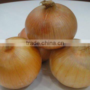 fresh yellow onion 2013