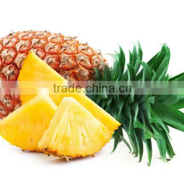 Sells Best Quality and 100% natural Fresh Pineapple Extract powder