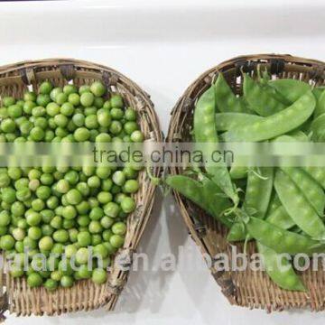 Dried Green Pea photo-4