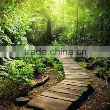 Garden Landscape photo-4