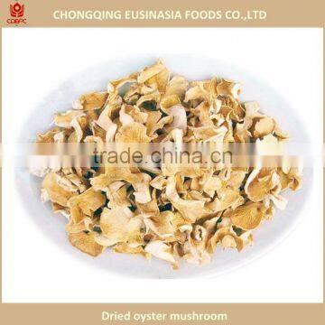 White dry oyster mushroom