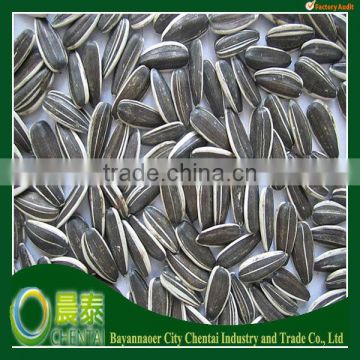 High Quality Round shape striped Sunflower seed for human consumption