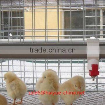 Taiyu Design Day Old Chicks Cage for Sale