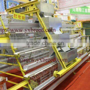 Poultry Farming Equipment for Poultry Farm