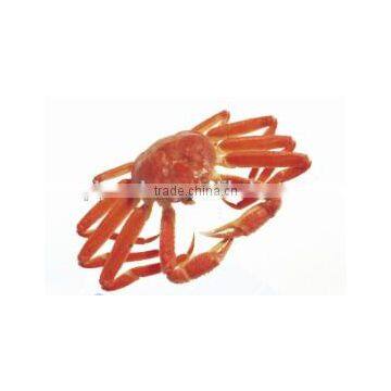 China Made D-glucosamine Hydrochloride Powder photo-6