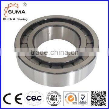 Single Row Full Complement Cylindrical Roller Bearing (SL18 SL19)