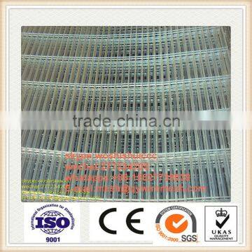 Galvanized Concrete Wire Mesh for Bird Cages photo-2