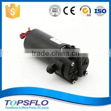 DC Gear Pump 12V/Mini Gear Pump/Gear Pump