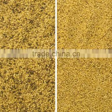 Millet Color Sorter photo-2