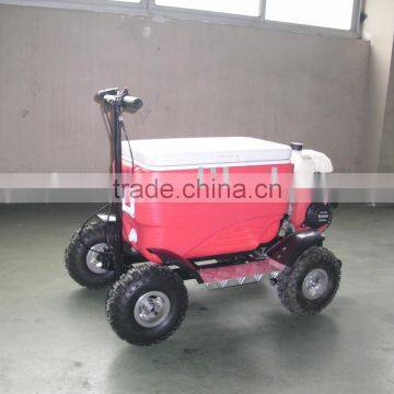 EEC MOTOR SCOOTER SX-G110