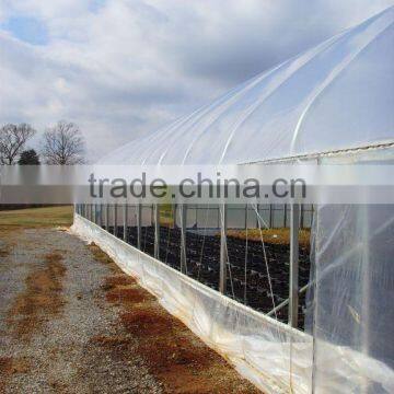 Lift Curtain Side Ventilation Film Greenhouse photo-3