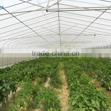 Commercial Used Galvanized Steel Frame Multi Span Greenhouse/Invernadero