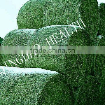 White Color Silage Wrap Bale Net for Grass Balers. photo-6