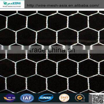 Hexagonal Hole Shape and Galvanized Iron Wire Material Hexagonal Wire Mesh photo-5