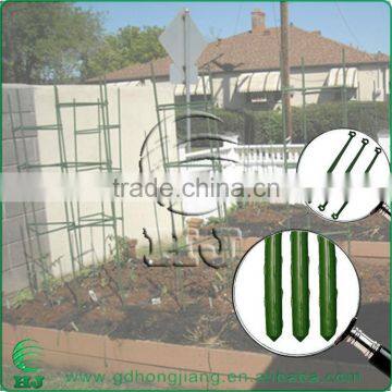 Plastic Coated Steel Garden Stakes for 2016 photo-3