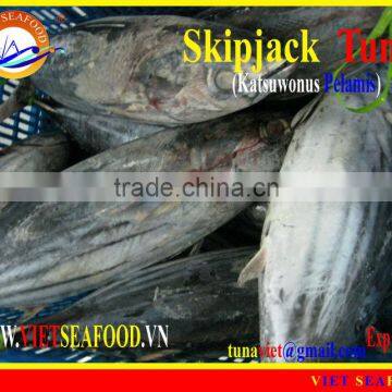 W/R FROZEN SKIPJACK TUNA