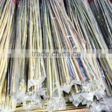 Excellent Quality Factory Price Garden Bamboo Canes for Sale photo-6