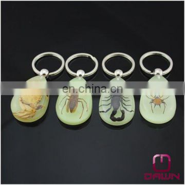 Luminous Real Insects Amber Keychain with Scorpion