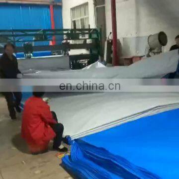 Light duty 50 gsm pe tarpaulin sheet from china