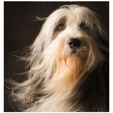 Shampoos for Dogs Wholesale Dog Shampoo photo-4