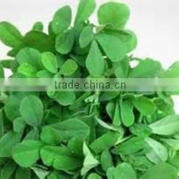 Superior Grade Fenugreek Soup for Sale