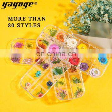2021 New Arrivals Nail Accessories Natural Dry Flower For Nail Art Decoration photo-2