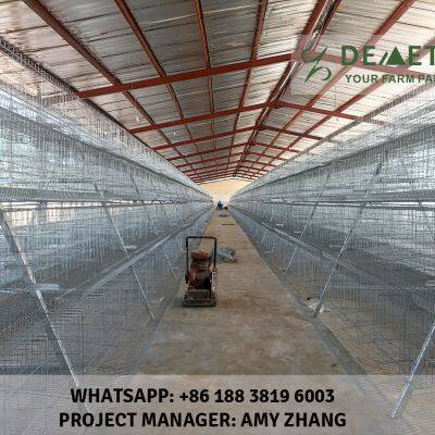 Layer Poultry Farm Cage photo-4