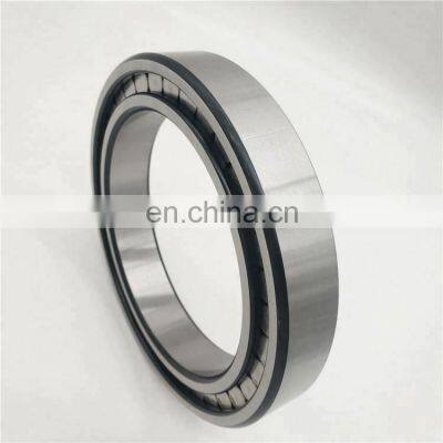 Full Complement Cylindrical Roller Bearing SL19 2236 SL192236 photo-2