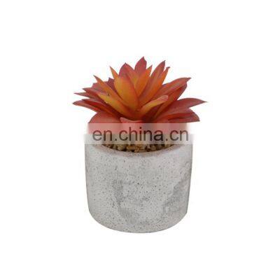 Wholesale Mini Home Decoration Plastic Fake Desk Pot Artificial Succulent Plants photo-5